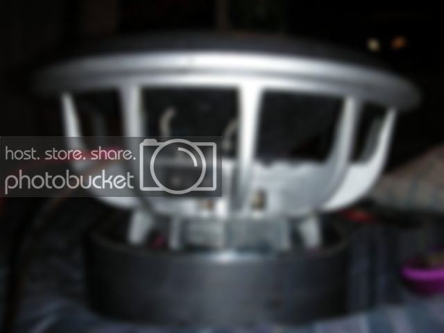 DSCN0984.jpg