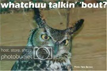 watchuutalkinbout.jpg