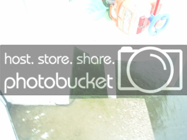 picsofflood009.jpg