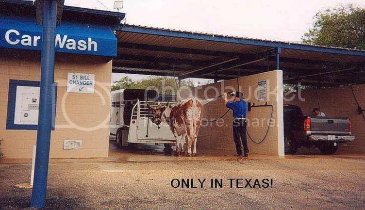 texas.jpg
