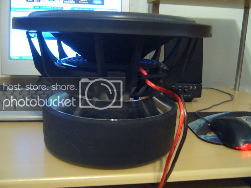 S4301654.jpg