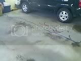 02-24-08_1412.jpg