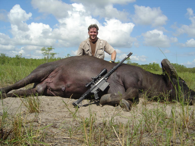 water-buffalo.jpg