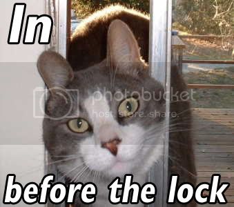 inbeforethelock3zd.jpg