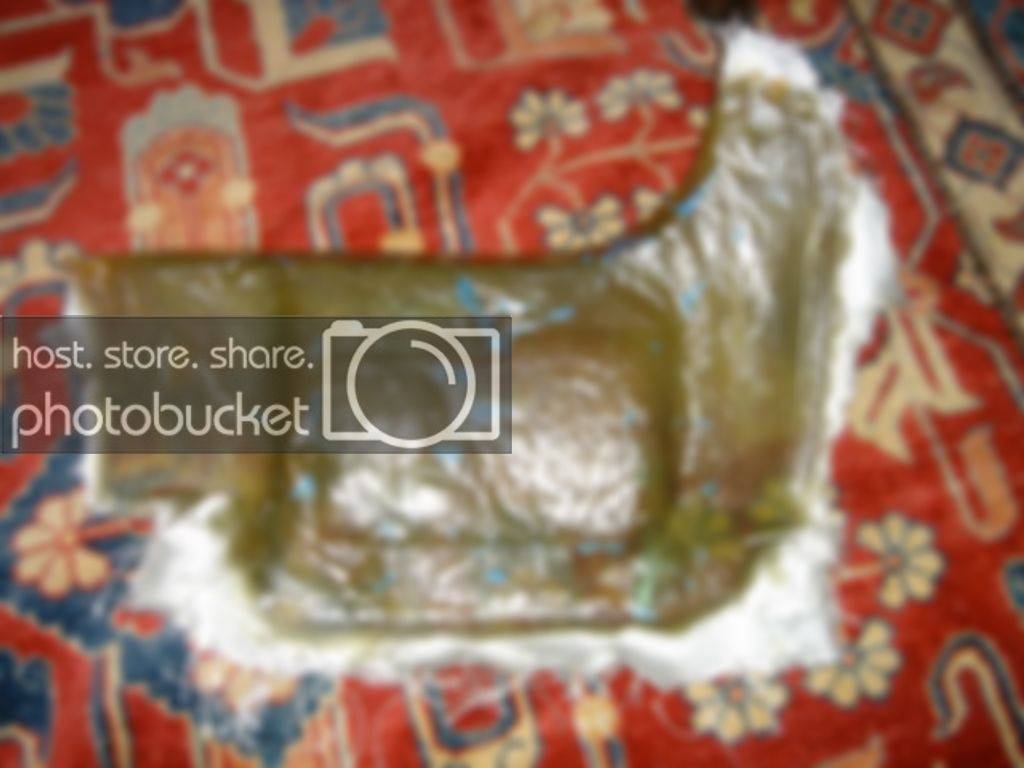 DSC03764.jpg
