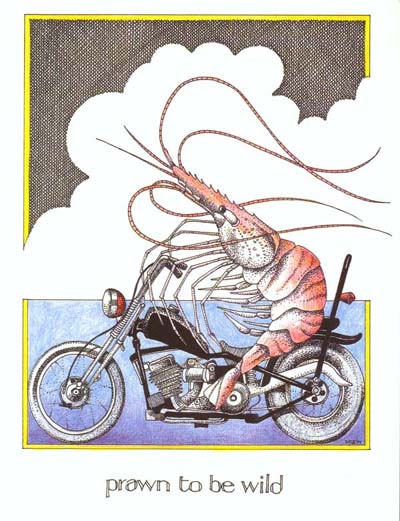 prawn1.jpg