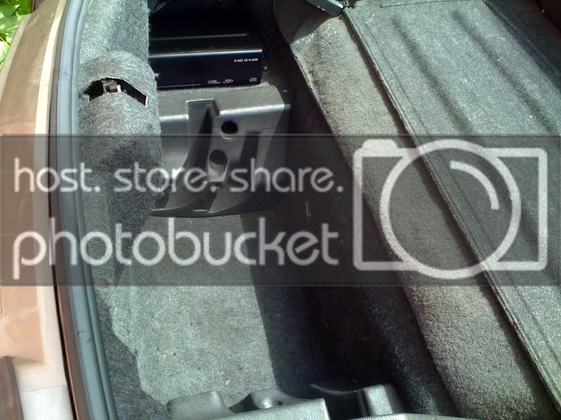 trunk2.jpg