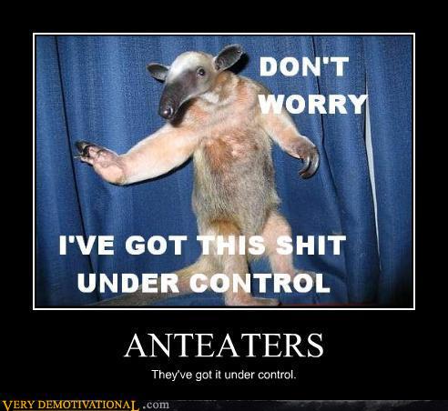 anteater_has_his_shit_under_control.jpg