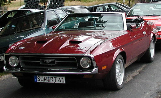 robertmustang2.JPG