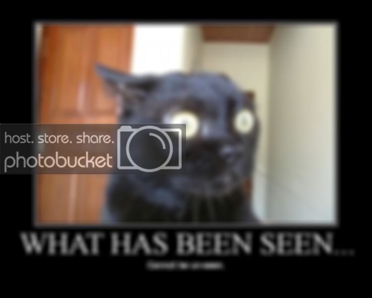 what_has_been_seen.jpg