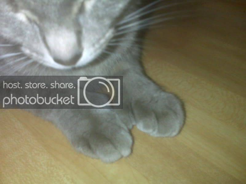 thumbs2.jpg