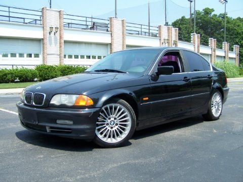 51905630.jpg