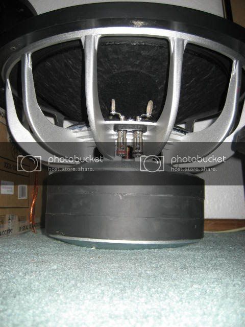 FiBTL005.jpg