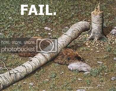 fail.jpg