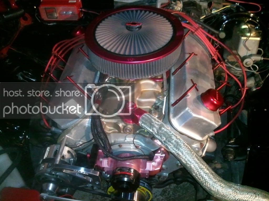 2011-11-19221315.jpg