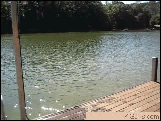 Lake_5c1989_1091638.gif