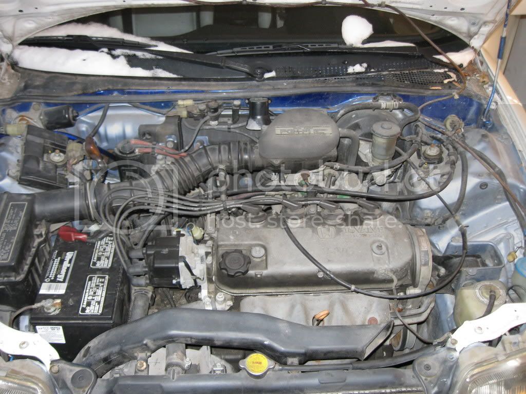 CRX001.jpg