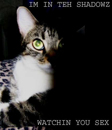 kittysexyi6.jpg
