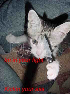 kittyknifecopy.jpg