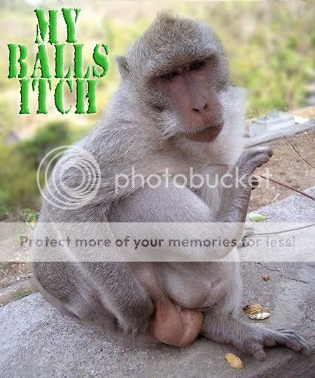 MonkeyBallsItchcopy.jpg