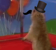 ba0808b374cf1e96e76a845a17b640e9.gif