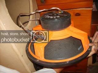 Picture133.jpg