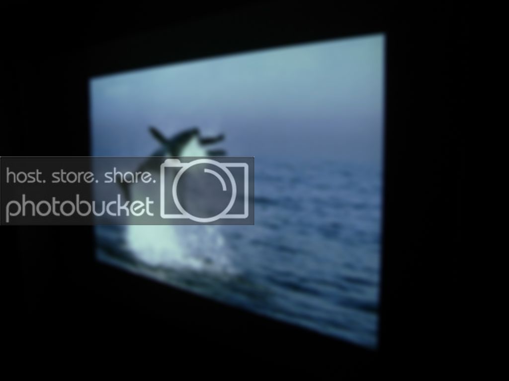 DSCN1997.jpg