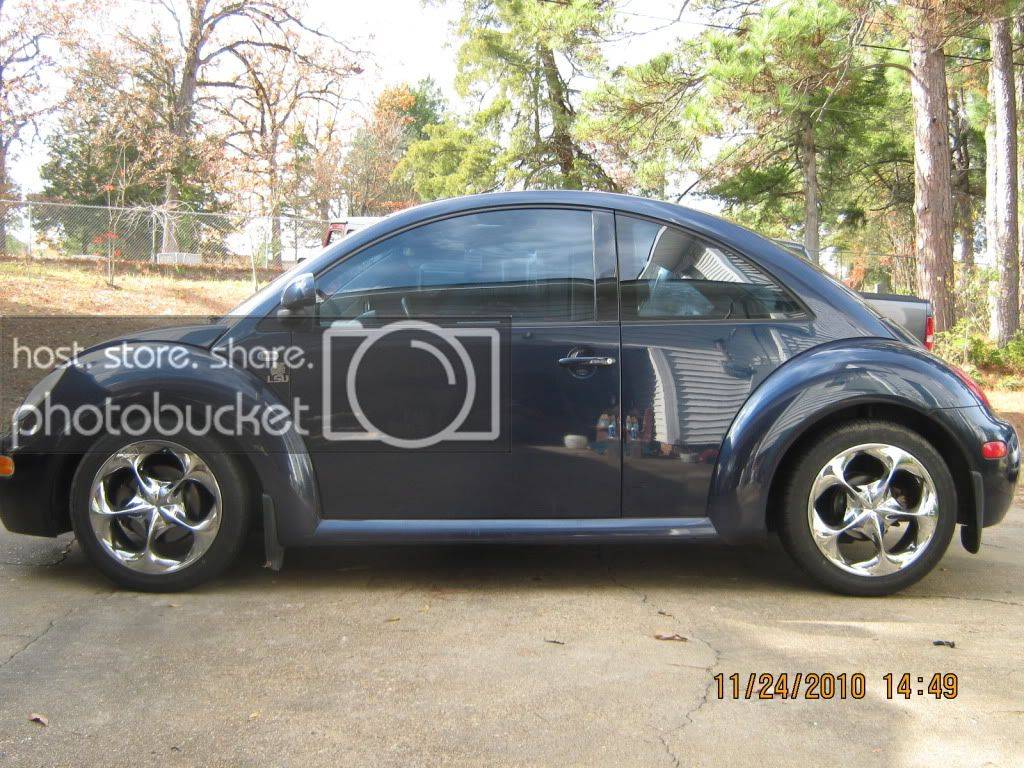 bug003-1.jpg