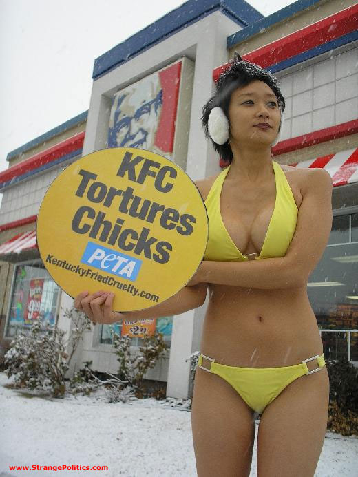 peta.jpg