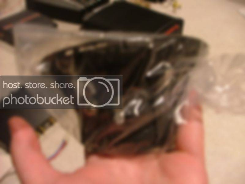 DSCF4878.jpg