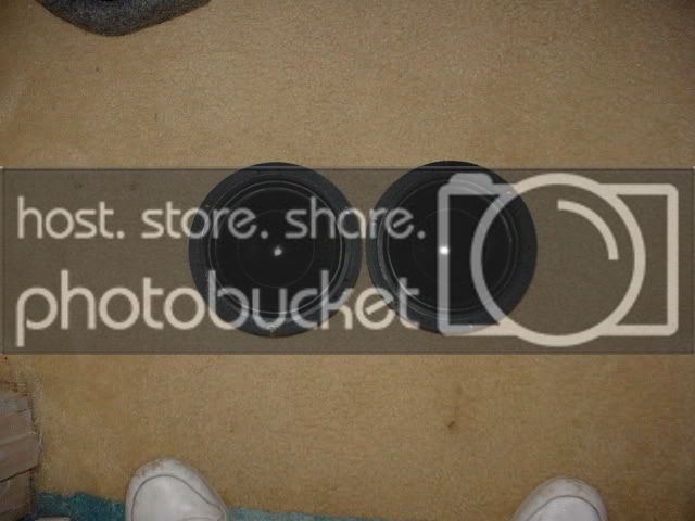 DSC02113.jpg