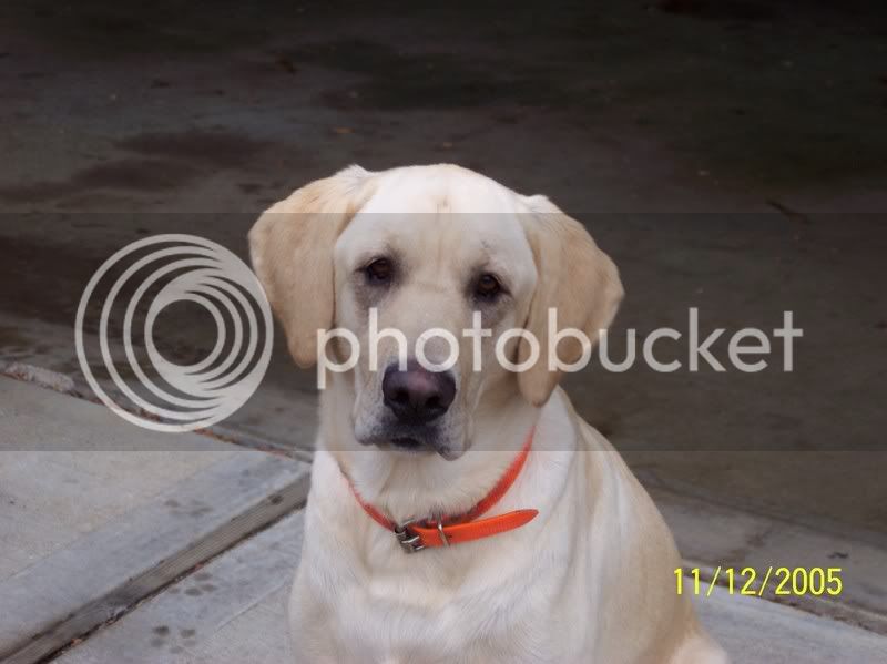 blake_jeff059.jpg