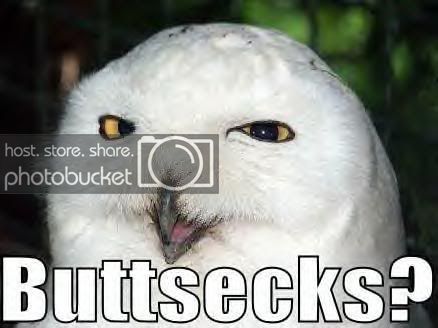 buttsecks.jpg