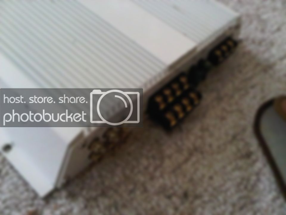 IMG00188-20110407-1255.jpg