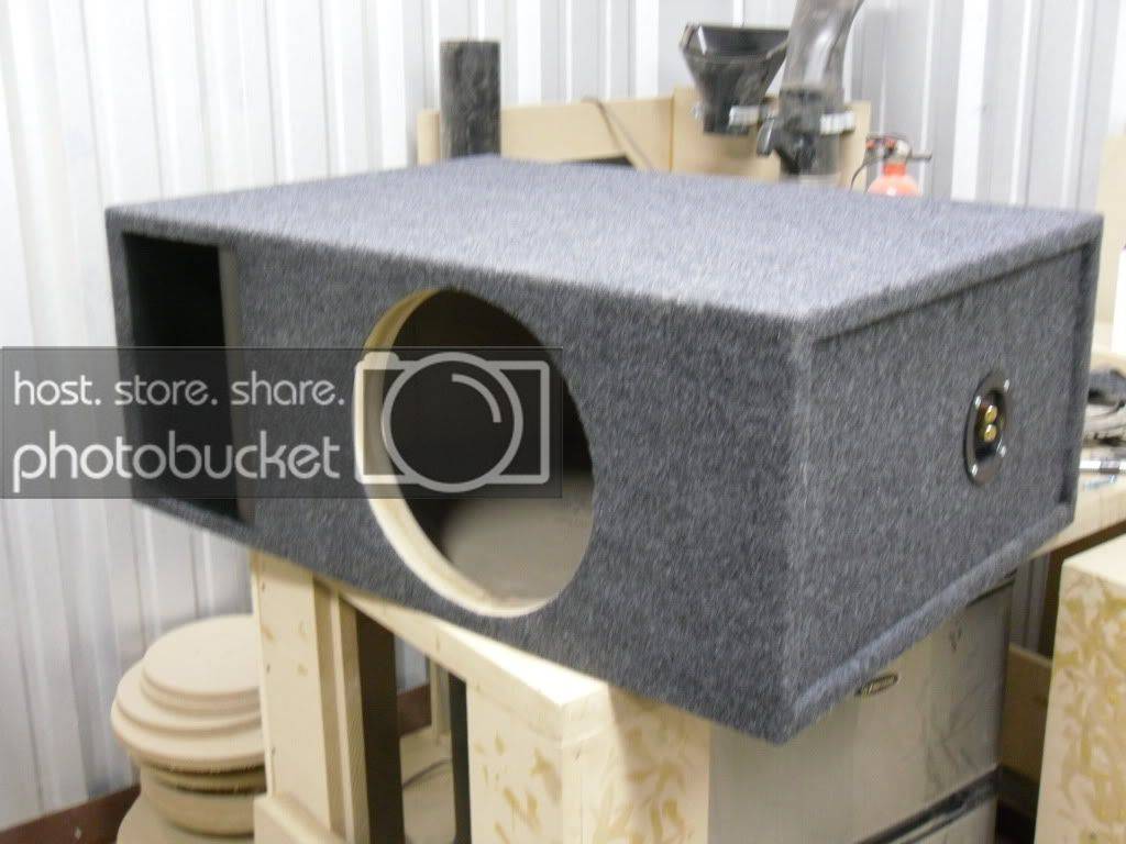 SDC10105.jpg