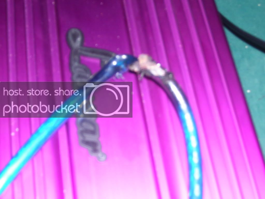 Picture078.jpg
