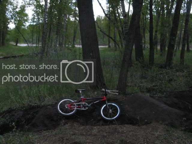 IMG_1246.jpg