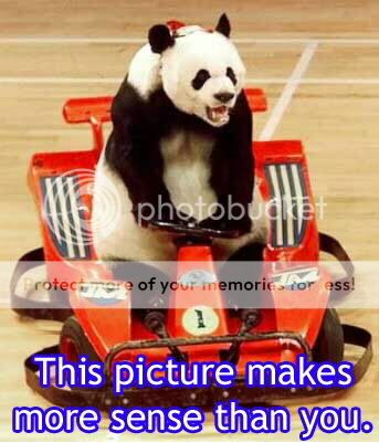 panda20makes20more20sense.jpg