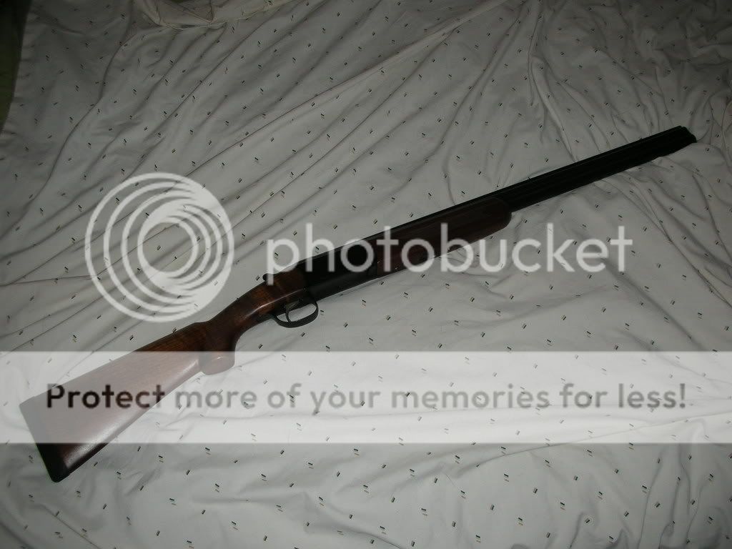 Picture003.jpg