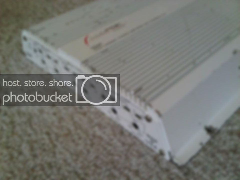 IMG00189-20110407-1255.jpg