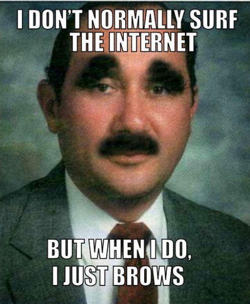 brows-the-internet.jpg