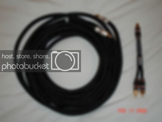 MSB1000001.jpg