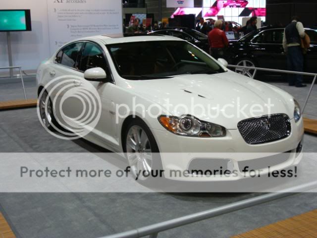 DSC02168.jpg