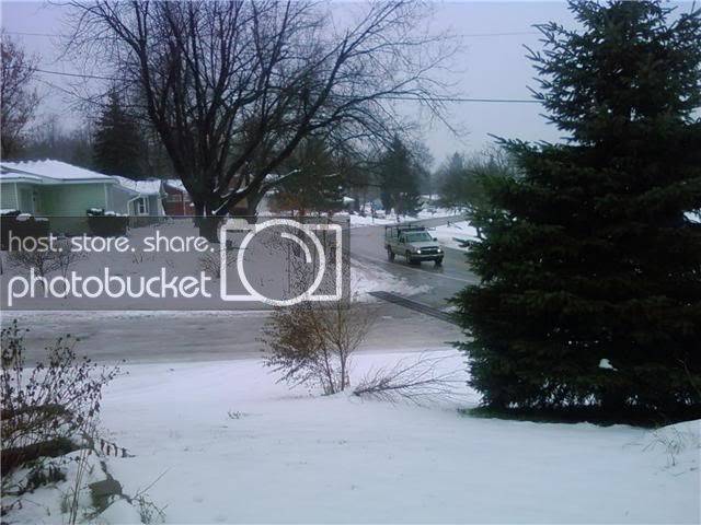 snow1.jpg