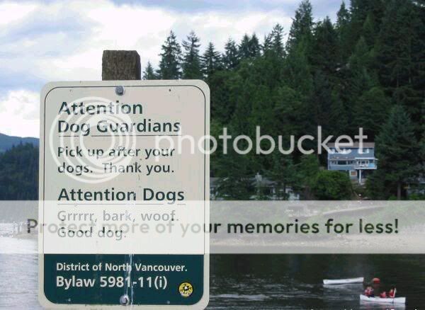 dogsign.jpg