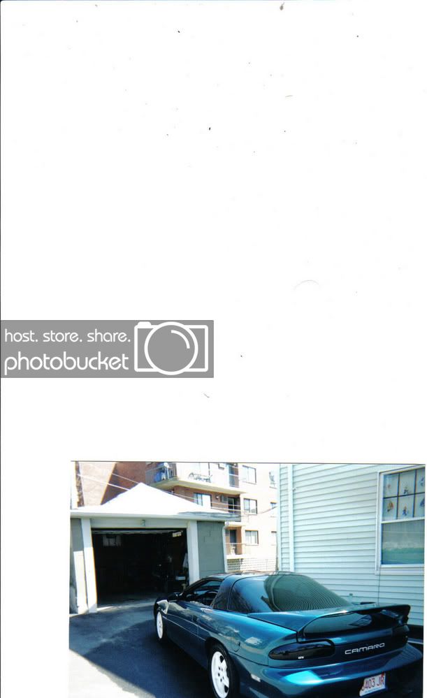 pic4.jpg
