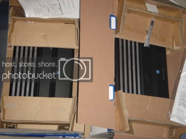 DSC01517.jpg