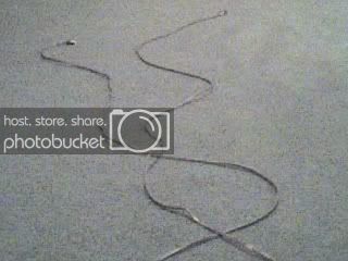 06-29-07_1430.jpg