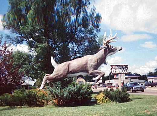 MNDEEdeer_stromquist.jpg