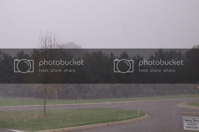 DCP_0869.jpg